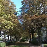 Hotel Franken An Der Messe 3*