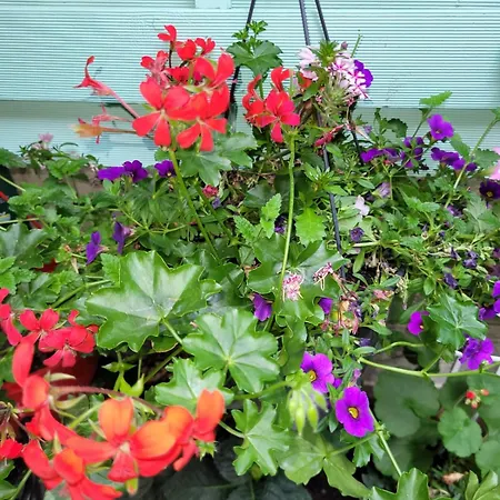 Franken An Der Messe Frankfurt nad Menem