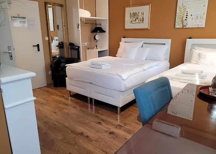 弗兰肯河畔旅馆 3*