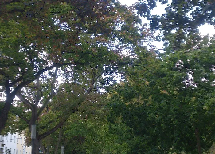 弗兰肯河畔旅馆 酒店 美因河畔法兰克福