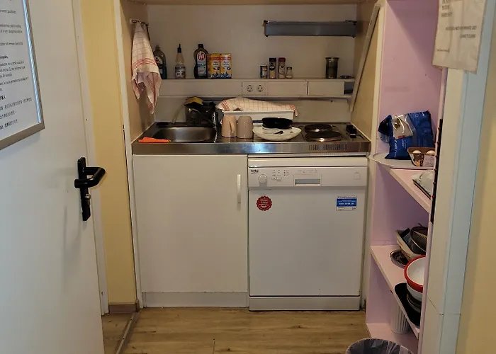 酒店 弗兰肯河畔旅馆 3*