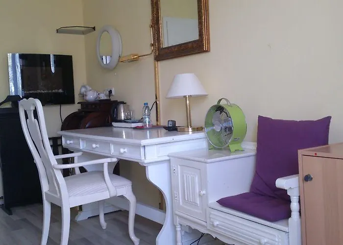 弗兰肯河畔旅馆 3* 美因河畔法兰克福